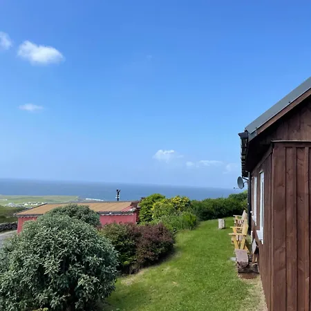 Holiday home Dave's Big House
